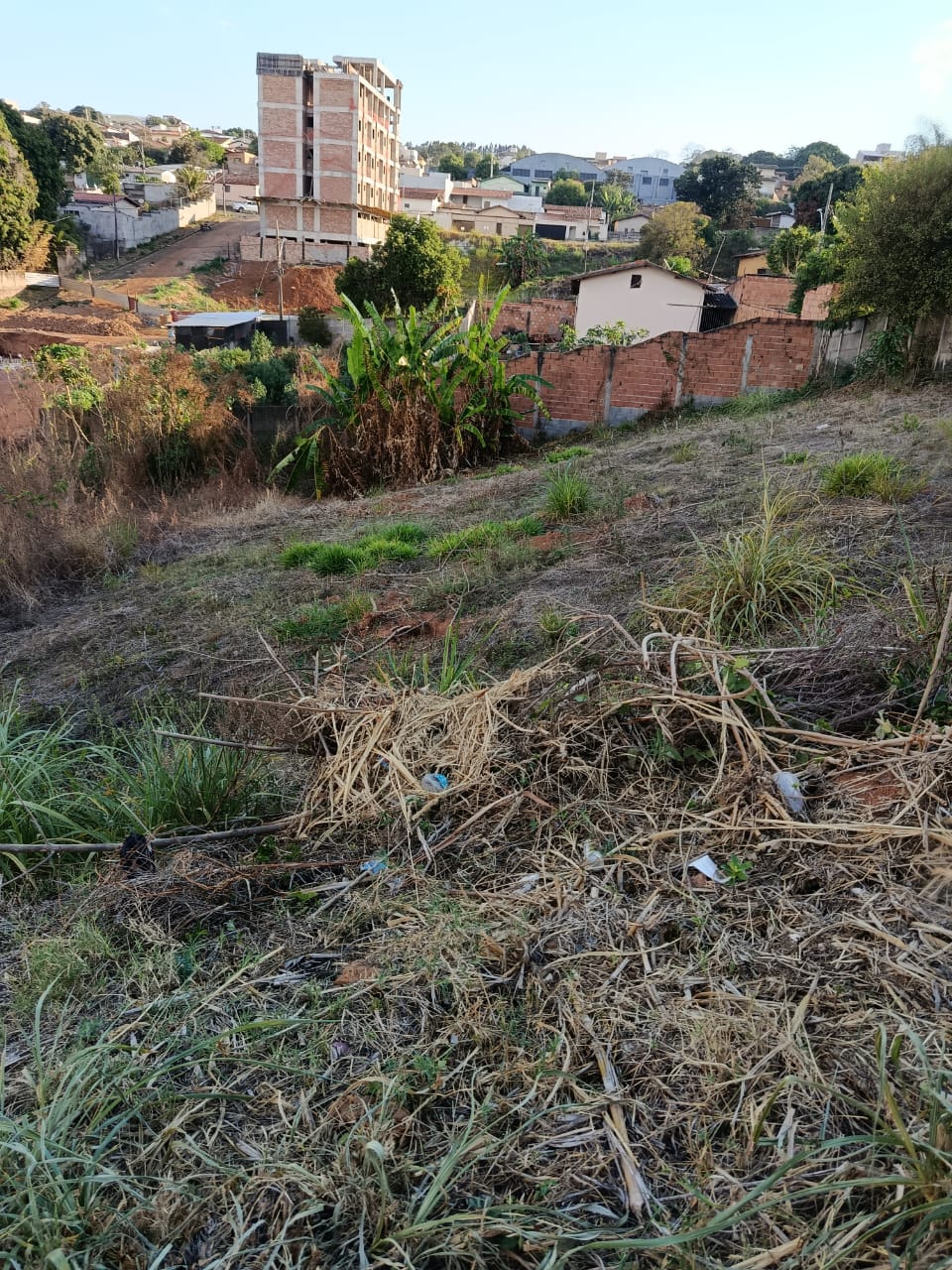 Terreno 450m Vila Silvéria - Imagem 4